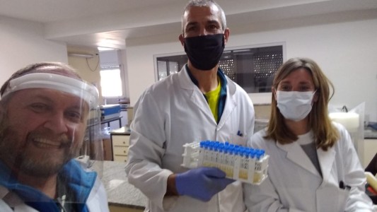 Gracias a un estudio argentino, una revista científica considera la eficacia de la Ivermectina