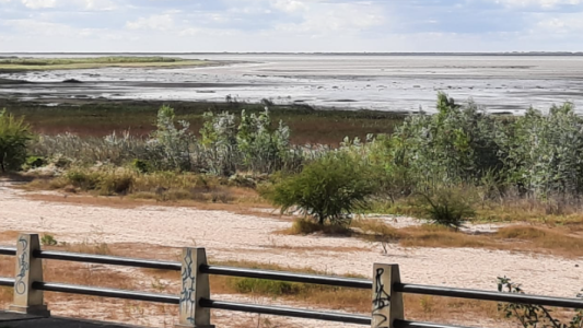 Feriado con clima templado y húmedo en la ciudad