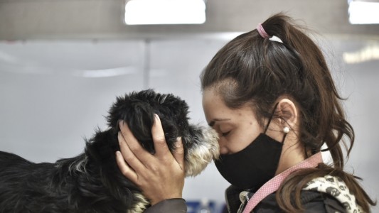 Dónde continúa la campaña municipal de castraciones