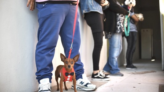 Continúa la campaña gratuita en distintos puntos de la ciudad