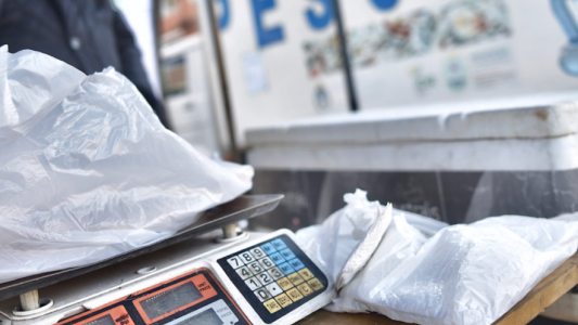 Dónde sigue esta semana la venta de pescado de mar a precios populares