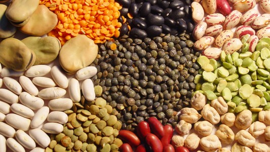 "Forman parte del menú diario de la gente": las legumbres se instalan en la mesa