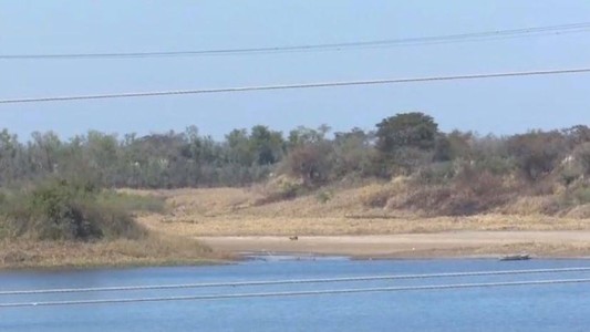 "La naturaleza invadió": el vado de Santo Tomé, cubierto por la naturaleza
