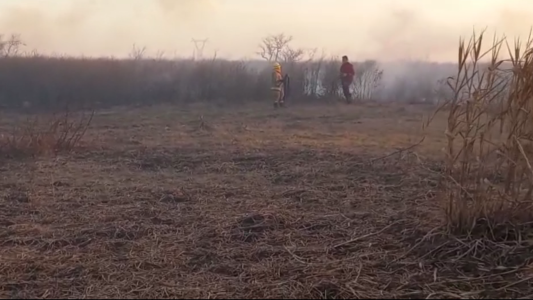 Incendios en las islas: "La mayoría de los hechos están vinculados con el accionar del hombre"