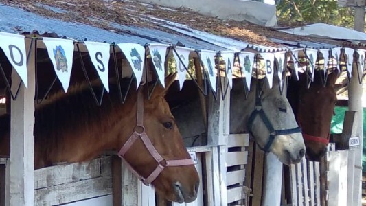 SOS Caballos impulsa visitas guiadas para subsistir