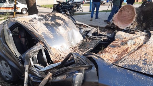 Intentó mover el auto por el granizo y lo aplastó un árbol