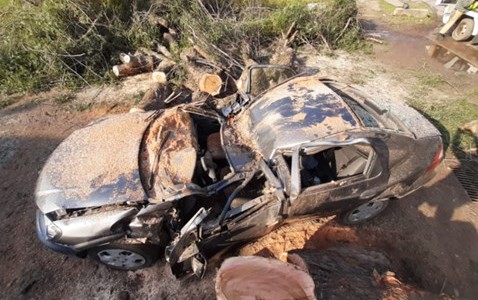 "Fue un milagro que haya sobrevivido": el conductor aplastado por un árbol recibió el alta