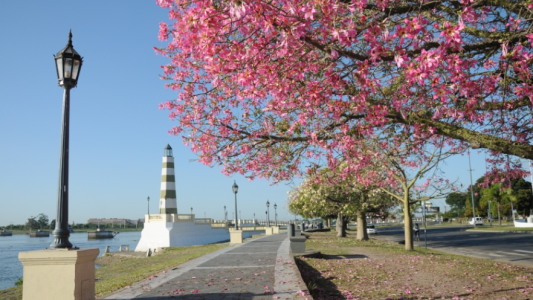 Se va despidiendo el invierno con cielo despejado y temperatura en ascenso