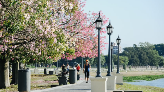 Este miércoles la primavera arranca con viento y cielo despejado