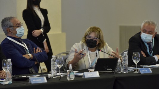 Sonia Martorano participó de la reunión del Consejo Federal De Salud