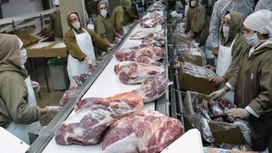 Total adhesión de la provincia a la reapertura gradual de las exportaciones de carne
