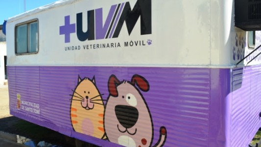 Castraciones de mascotas en Santo Tomé: dónde será la atención jueves y viernes