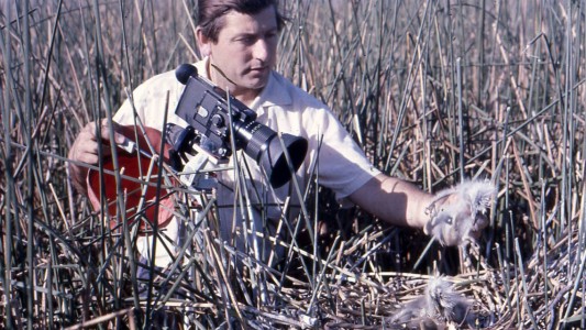 “Martín de la Peña, a vuelo de pájaro”: el nuevo libro digital del Museo Ameghino