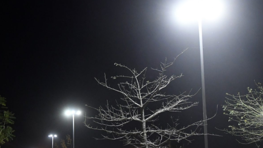 Los trabajos de iluminación y bacheo previstos para este jueves 11 de noviembre