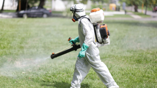 Fumigación, bacheo e iluminación: Los trabajos de este jueves