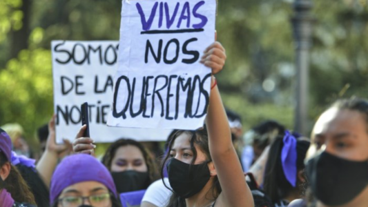 Violencia de Género: El Gobierno encara una reforma de la ley