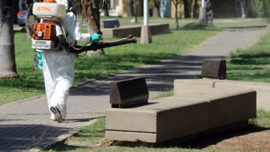 Los trabajos de bacheo, fumigación e iluminación previstos para hoy