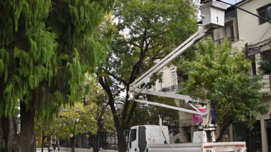 Las tareas de bacheo, fumigación e iluminación previstas para hoy
