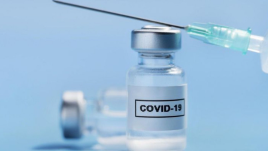 La vacuna argentina contra el Covid estará lista el año que viene