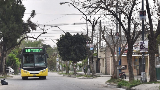 Servicios municipales previstos para este miércoles 8