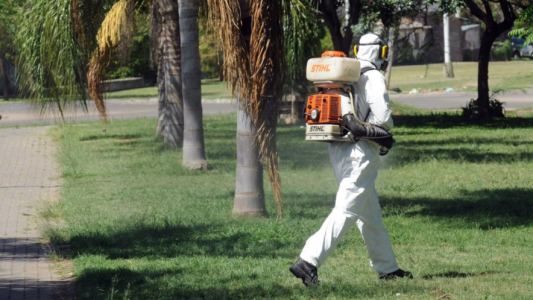 Las tareas de fumigación, bacheo e iluminación previstas para este lunes