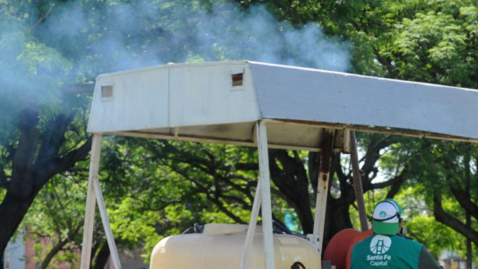 Fumigación, iluminación y bacheo: Los trabajos previstos para hoy