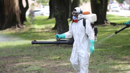 Los trabajos de fumigación, bacheo e iluminación previstos para este 30 de diciembre