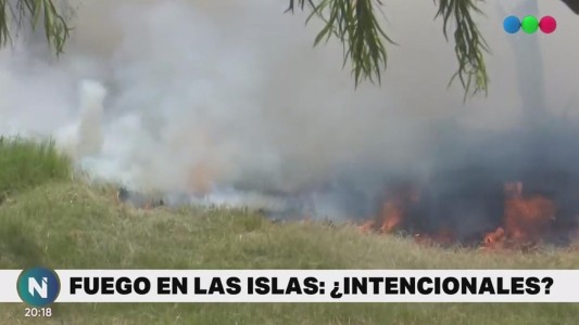 Denunciaron que los incendios en las islas de Rosario fueron intencionales