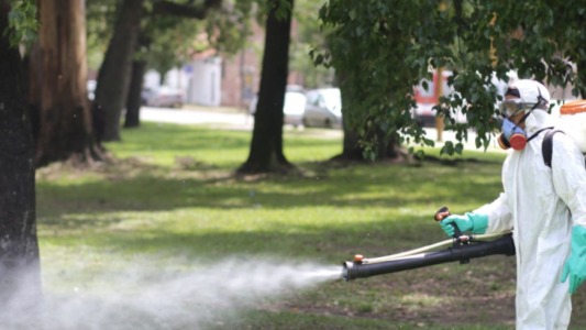 El cronograma de tareas de bacheo, fumigación e iluminación en la ciudad