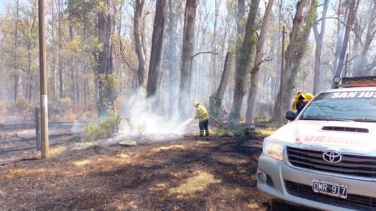 "Ya está perdido": conmoción en Laguna Paiva por la quema del bosque de eucaliptus