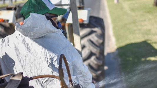 Las tareas de fumigación, bacheo e iluminación previstas para este jueves 13
