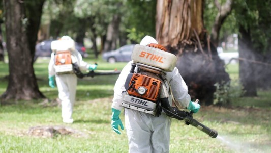 Trabajos de fumigación, iluminación y bacheo previstos para la jornada