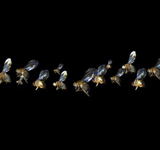 Santa Fe se suma a la Noche de las Ideas