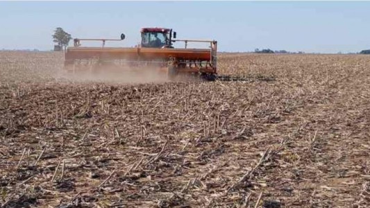 Declararon la emergencia agropecuaria en Entre Ríos