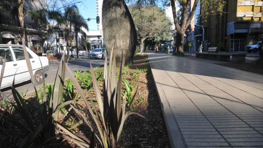 El comienzo de febrero presentará condiciones estables en la ciudad de Santa Fe