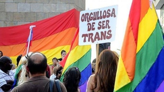 Movilización por la Ley Antidiscriminatoria y la Ley Integral Trans