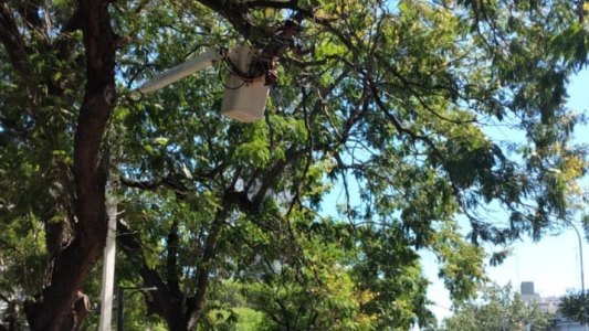 Las tareas de bacheo, fumigación e iluminación previstas para este 17 de febrero