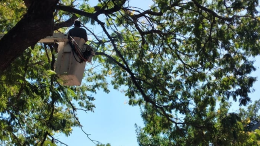 Iluminación, bacheo y fumigación: Los trabajos previstos para este jueves 24