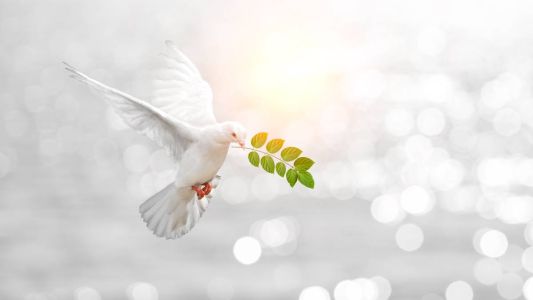 Santa Fe formará parte de la oración por la paz mundial, debido al conflicto entre Rusia y Ucrania