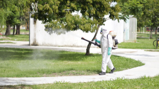 Trabajos de fumigación, iluminación y bacheo previstos para este martes 8 de marzo