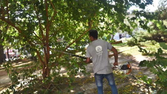 Trabajos de bacheo, iluminación y fumigación previstos para este 15 de marzo