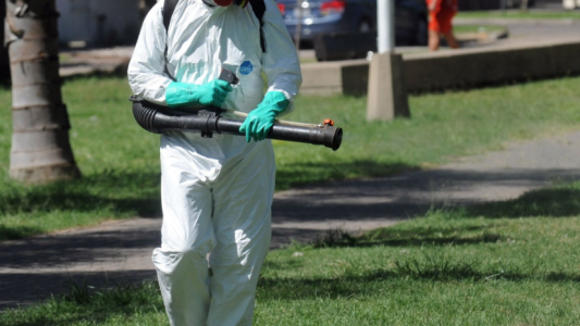 Trabajos de fumigación, iluminación y bacheo previstos para este 16 de marzo