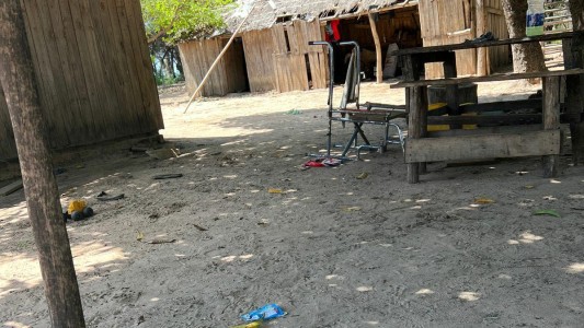 "Veíamos desolación": veterinarios santafesinos llegaron a Corrientes