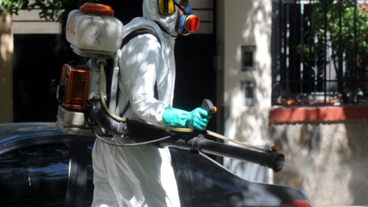 Trabajos de fumigación, iluminación y bacheo previstos para este lunes 21 de marzo