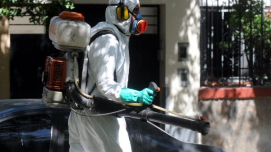 Los trabajos de fumigación, bacheo e iluminación previstos para este 29 de marzo