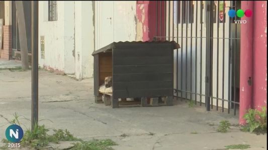 "Un techo para un callejerito" pide ayuda para recolectar materiales
