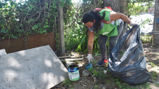Las tareas de bacheo, fumigación e iluminación previstas para este 31 de marzo