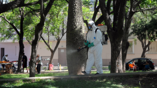 Las tareas de fumigación, bacheo e iluminación previstas para este 4 de abril