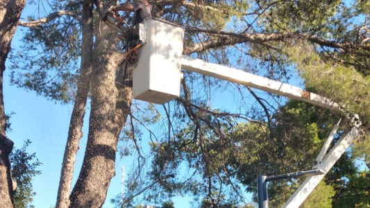 Los trabajos de bacheo, fumgación e iluminación previstos para este 7 de abril