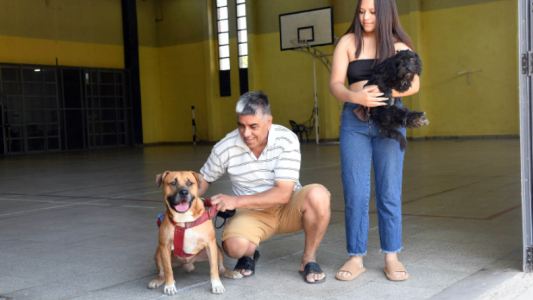 El Mes del Animal se celebrará con diversas actividades